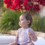 Peto Mumbai Calamaro