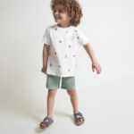 Conjunto animales Street Monkey