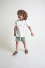 Conjunto animales Street Monkey