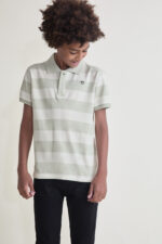 Polo rayas manga corta Street Monkey+COLORES