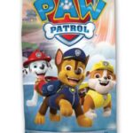 Toalla playa o piscina Patrulla Canina 9