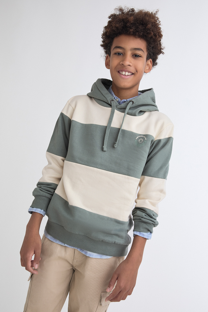 153763-product-large Sudadera rayas Street Monkey +COLORES - Imagen 1