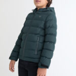 Chaqueta acolchada Verde Street Monkey