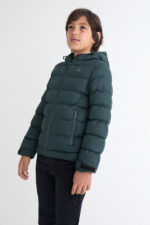 Chaqueta acolchada Verde Street Monkey